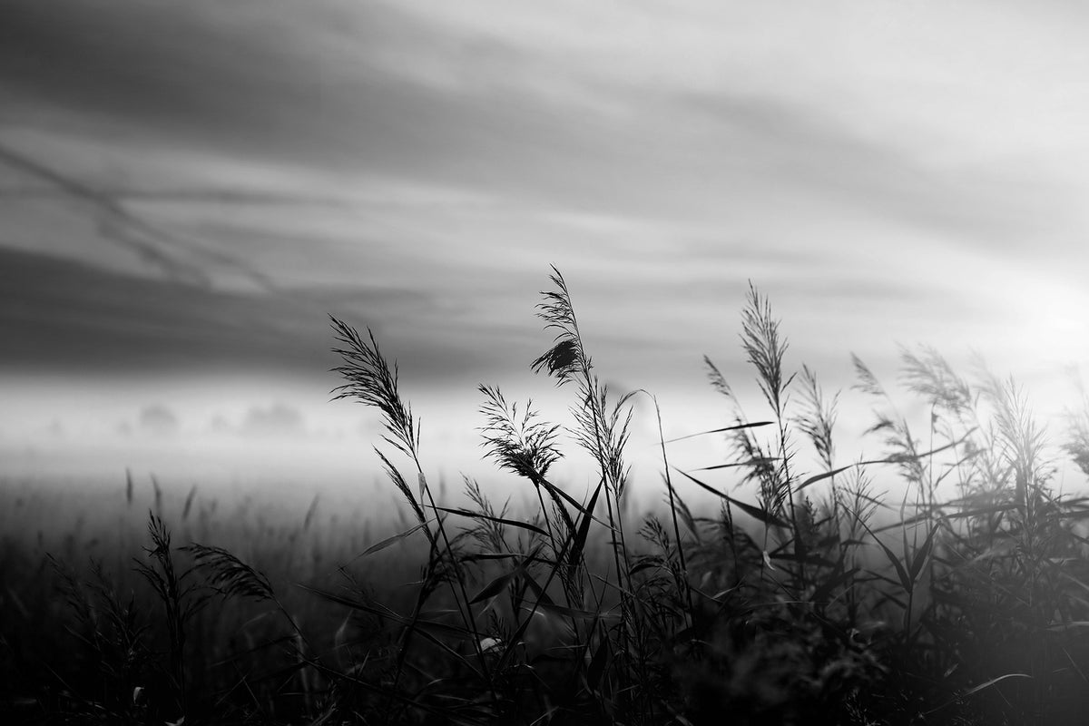 Black monochrome discount