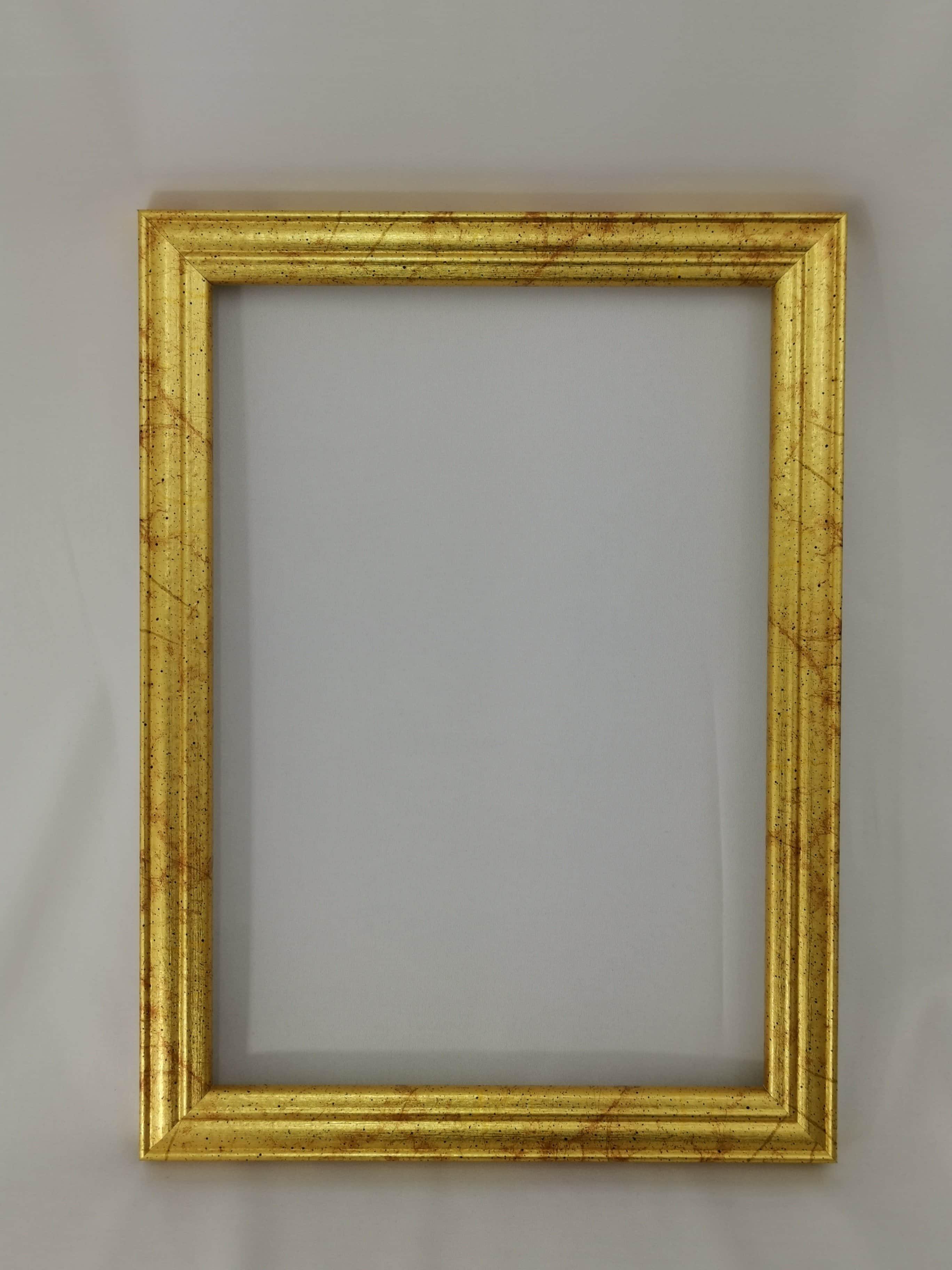 Classic Gold Flake Picture Frames 